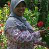 Bunda Mia