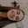 Leslie Fea Leslie Fea