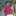 Any S. Soetrisno Any S. Soetrisno