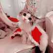 ♧Paniz♧