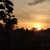 Mayang Mayang