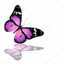 alaa m
