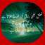 Bint E Feroz