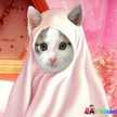 Aryati Alwi