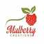 Mulberry Creations