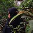 Sucik Fitri Wulandari 🍝