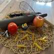 MarineFood_____