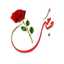 Hesham Elsawaby