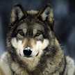 Facu Funes