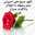nour mansouri