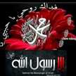 هويدا الشربينى