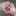 Fhswm28 Fhswm28