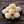 Ladoo