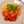 Spaghetti_pomodoro_e_basilico