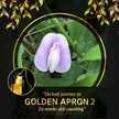 Dian's Lovelytupp 