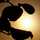 Batoul Batoul