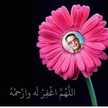 Safaa Alaa