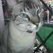Gladys Maria Lualdi Rivero