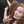 Liss