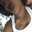 Darlin L Dickenson