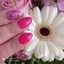Iwona 