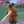 Naty Castro Naty Castro