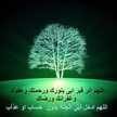 قبس ايمان
