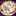 YZ_WR YZ_WR
