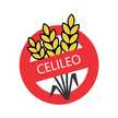 Celileo