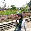 Imma Nizarul 