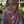 Rendyana_achmad13 Rendyana_achmad13