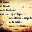 Carmen Lamas