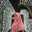 gisma_mk