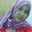 Arum Ningsih