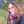 Thejosie76 Thejosie76