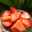 Filofax of Food