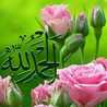Uzma Shahid Uzma Shahid