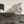 FT