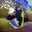 irre_desirre