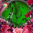 أولادي قرة عيني
