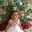 Aqsa Sajjad