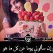 Yasmin Ranya Yasmin Ranya