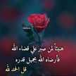 محمد علي