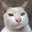 Anuchit o