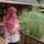 Ardiani Asih Wijayanti Ardiani Asih Wijayanti