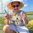 Quoc Nguyen | Chef Q