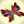 Μαρφιν