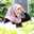 kiki tri maulani