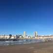 laura mdq