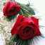Mahbob Asek Buahmad